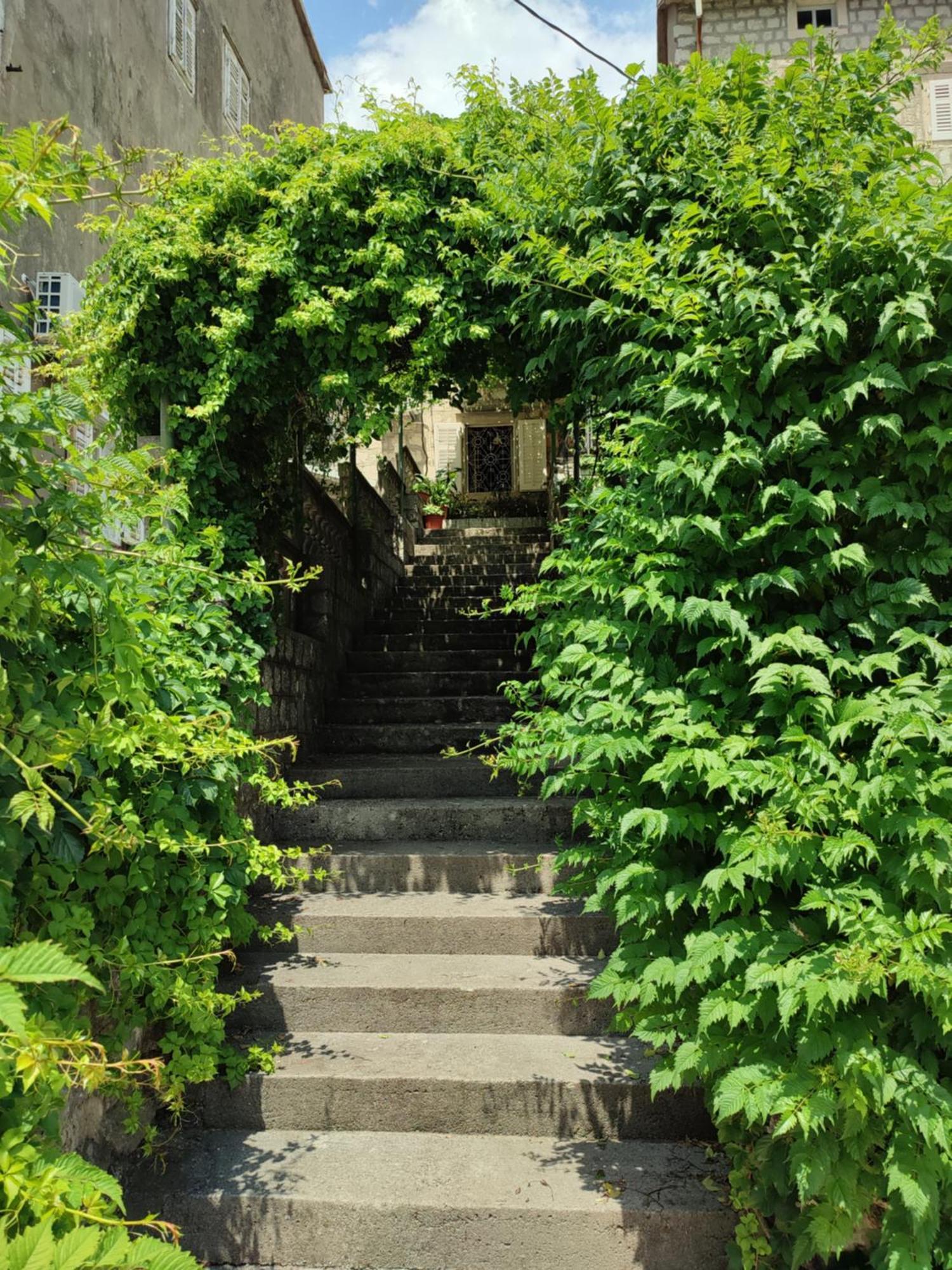 Guesthouse Zmukic Perast Luaran gambar